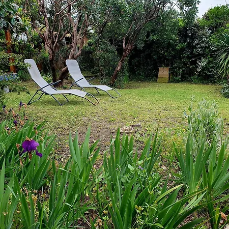 Familiale Typique A Lacanau-ocean Holiday home Lacanau